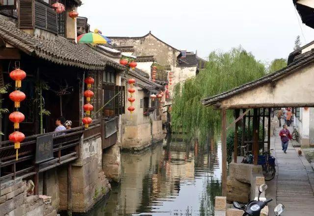 漂亮鹦鹉救援